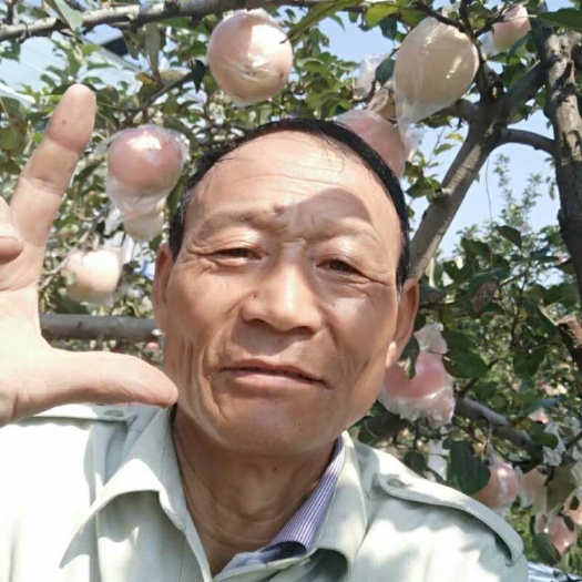 礼泉县 农民自己种的红富士苹果，个大均匀色泽红润口感脆甜30元包邮