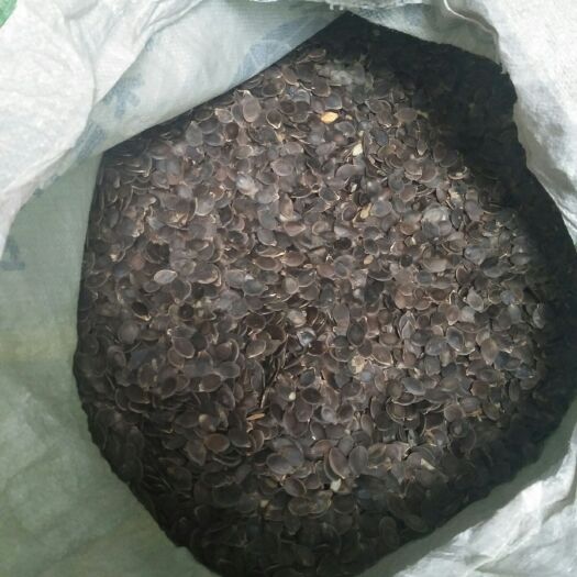 南华县黑金刚 袋装