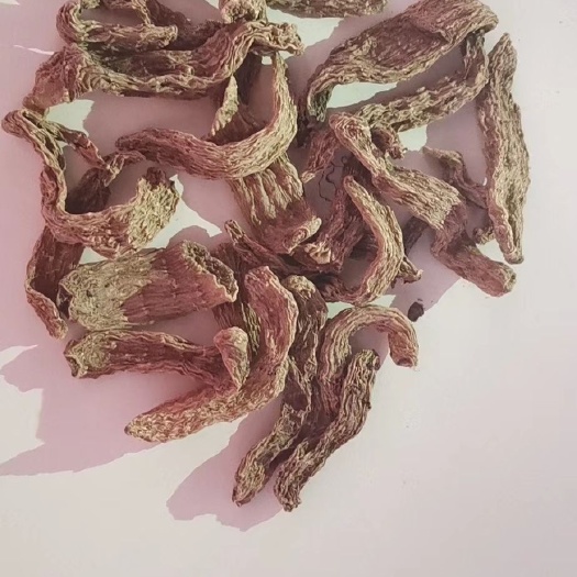 商南县天麻