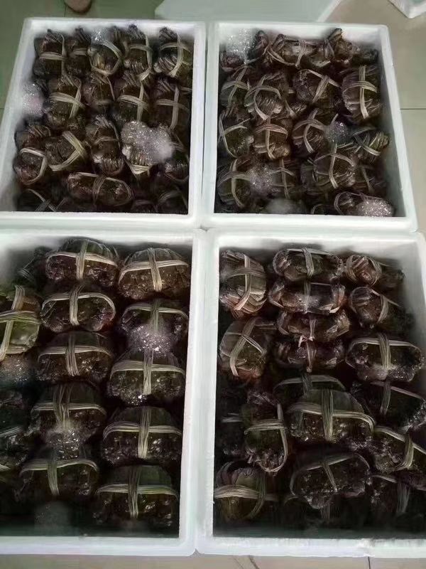 固城湖大闸蟹 统货
