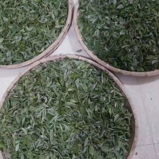 广南县 绿茶