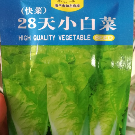 郑州 28天特快小白菜种子 杂交抗病速生耐热耐湿抗病10克