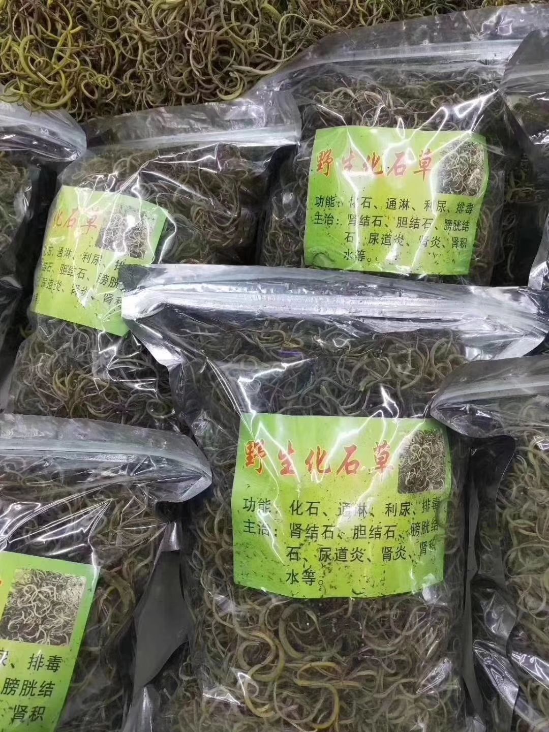 化石草 小叶选货 泡水喝 1斤包邮