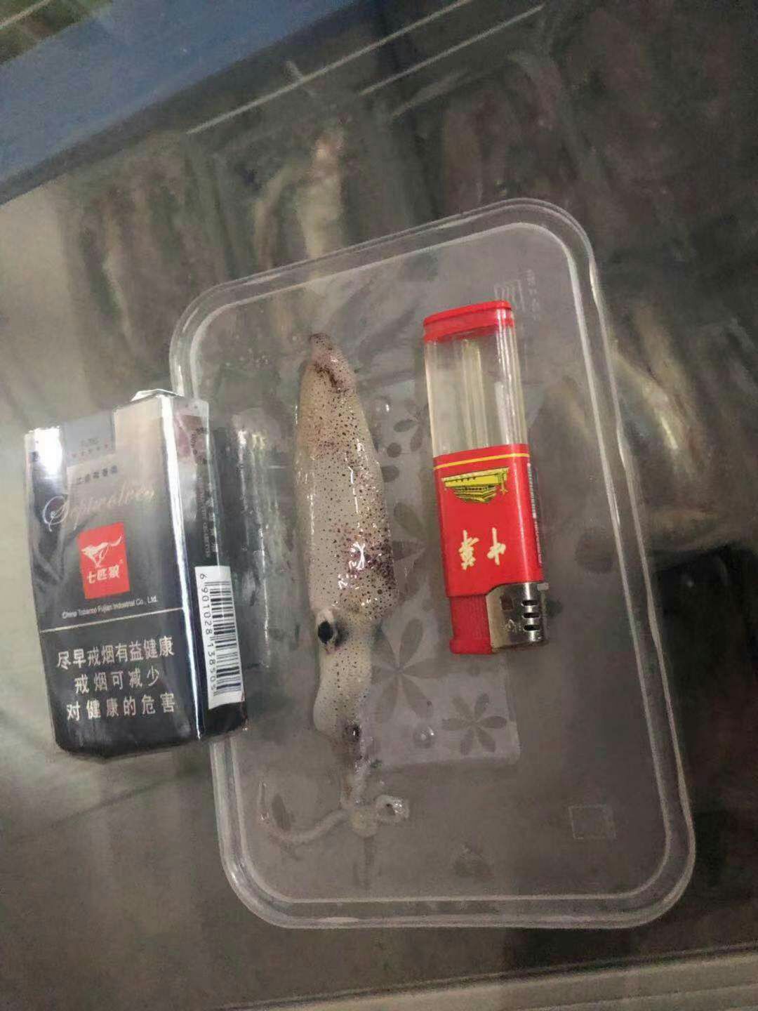 闽南鱿鱼母 小管