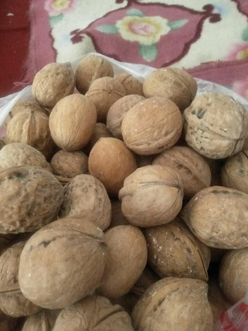  新疆去皮核桃33核桃