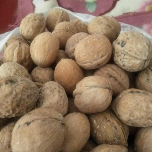  新疆33核桃，质量问题，