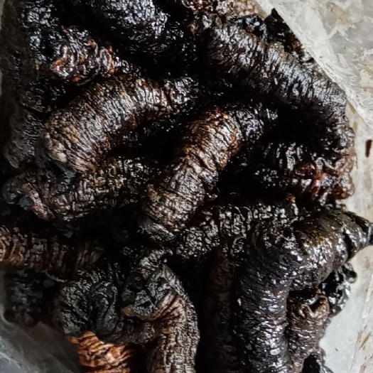 德庆县鲜巴戟 精选十年以上丢荒巴戟天大肉，采用古法精制，天然，，