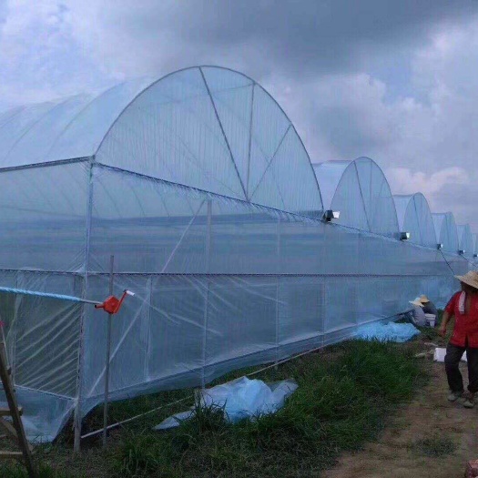 沭阳县钢管大棚