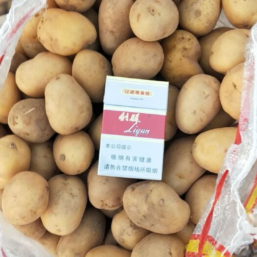 平度市 迷你小土豆