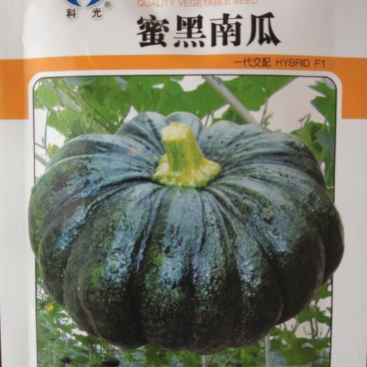 绵阳 南瓜种子 黑磨盘南瓜种子