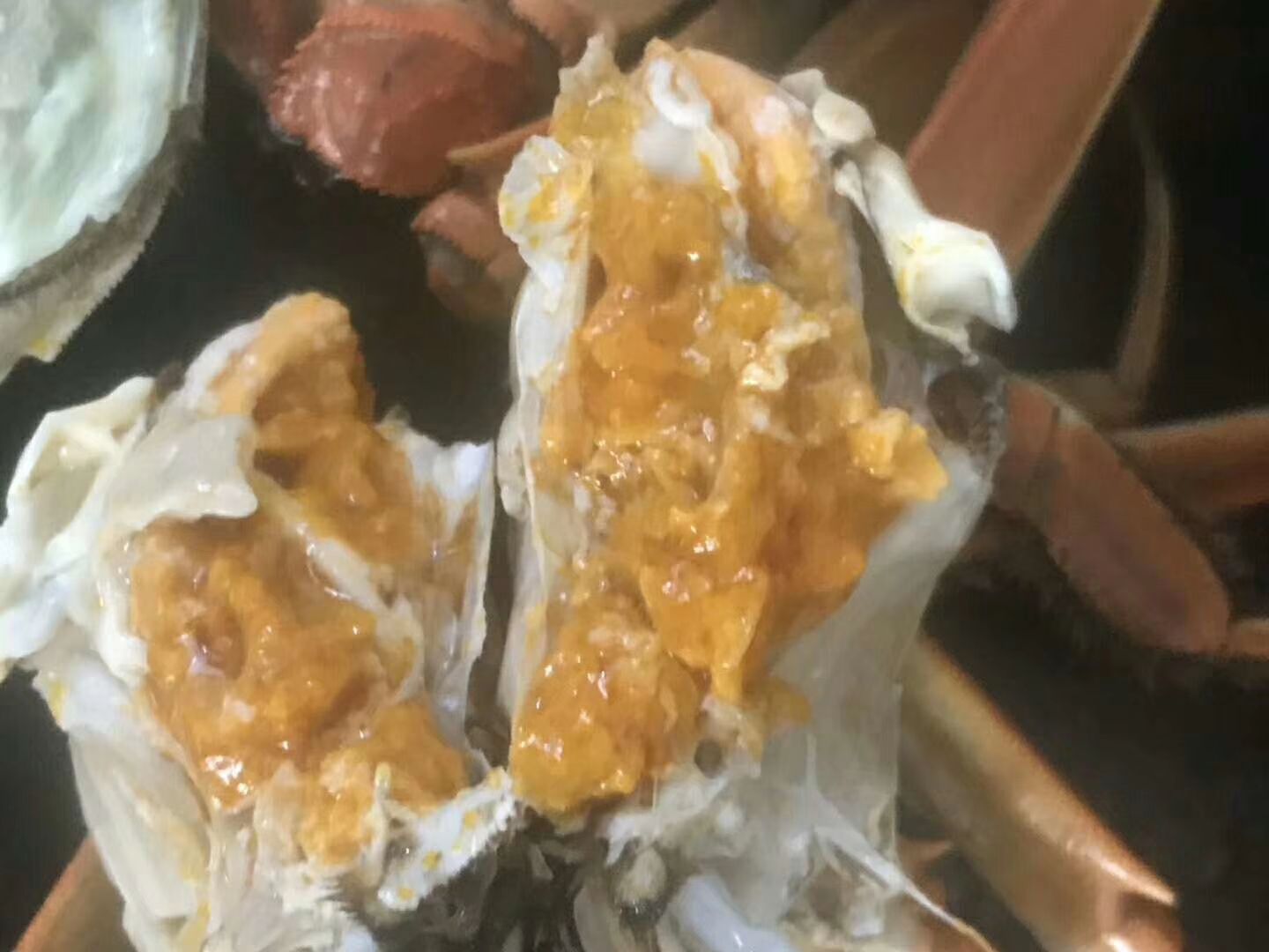  大闸蟹  膏满黄多  精品货  鲜活