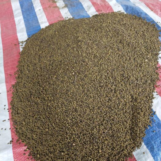 融水县 有几百斤江西中花吴茱萸干货无裂口出售