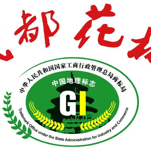 陇南陇南花椒 特级 干花椒