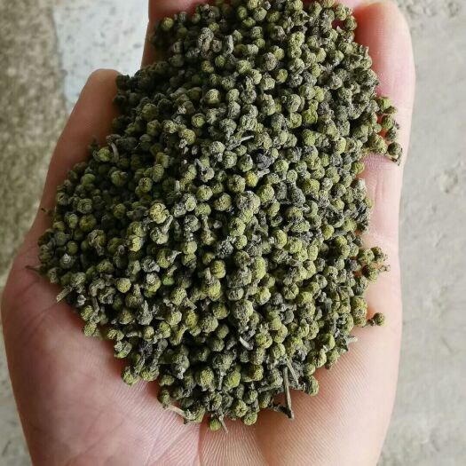 河池 大量供应广西中花吴茱萸、江西中花吴茱萸