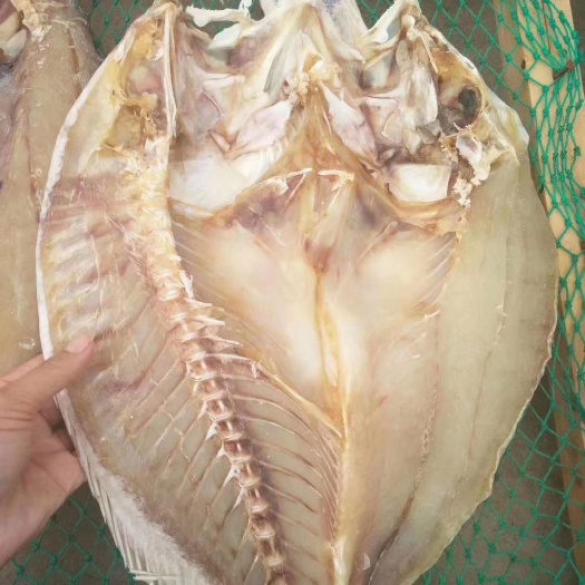 湛江红鱼干