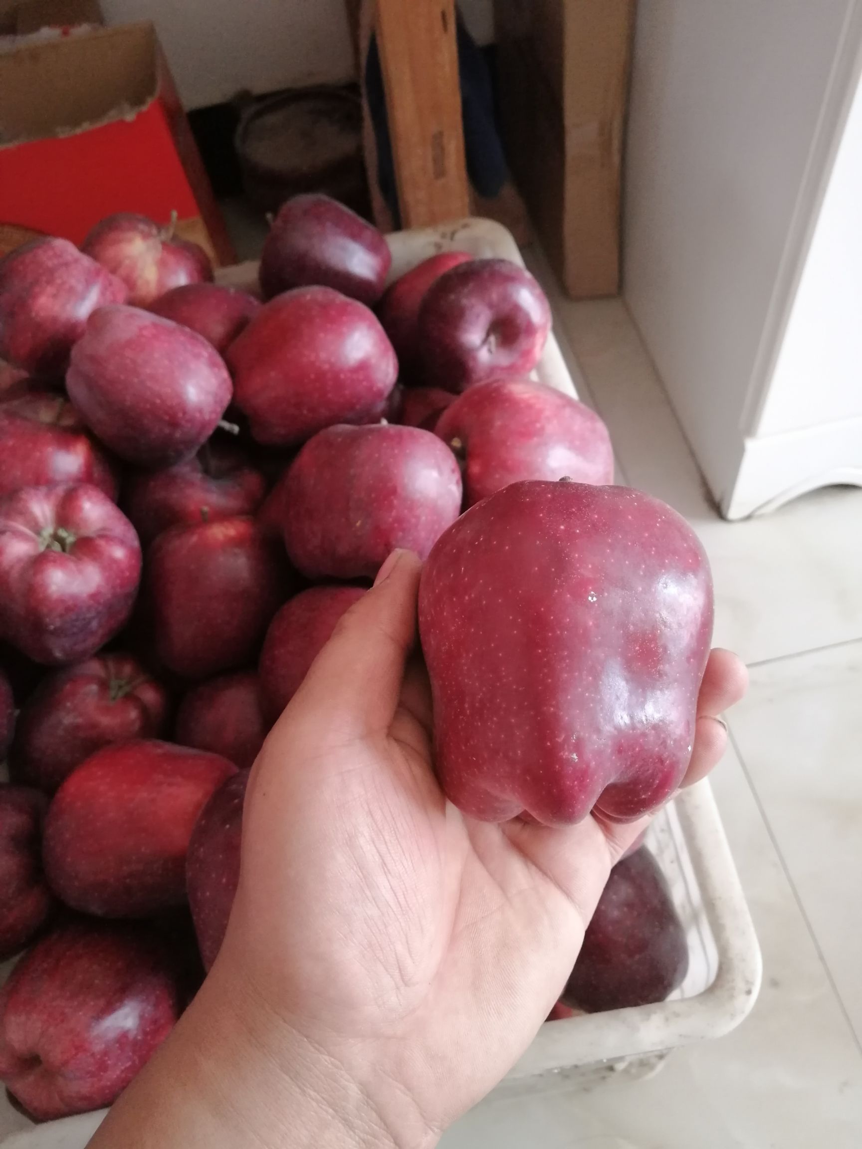 天水花牛苹果 70mm以上 统货 纸+膜袋 花牛苹果