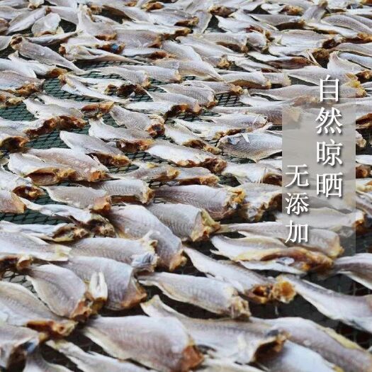 深圳小鱼干 深海小黄花鱼干货
