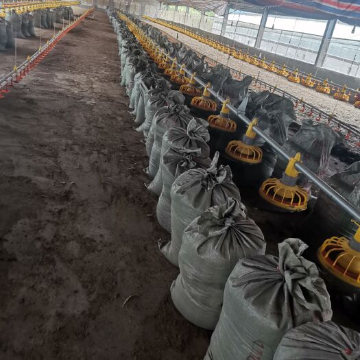 武冈市有机肥料 蔬菜.水果.药材.果树底肥