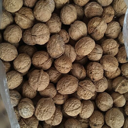 祥云县103核桃  云南纸皮核桃103果（绿色食品一捏就碎）