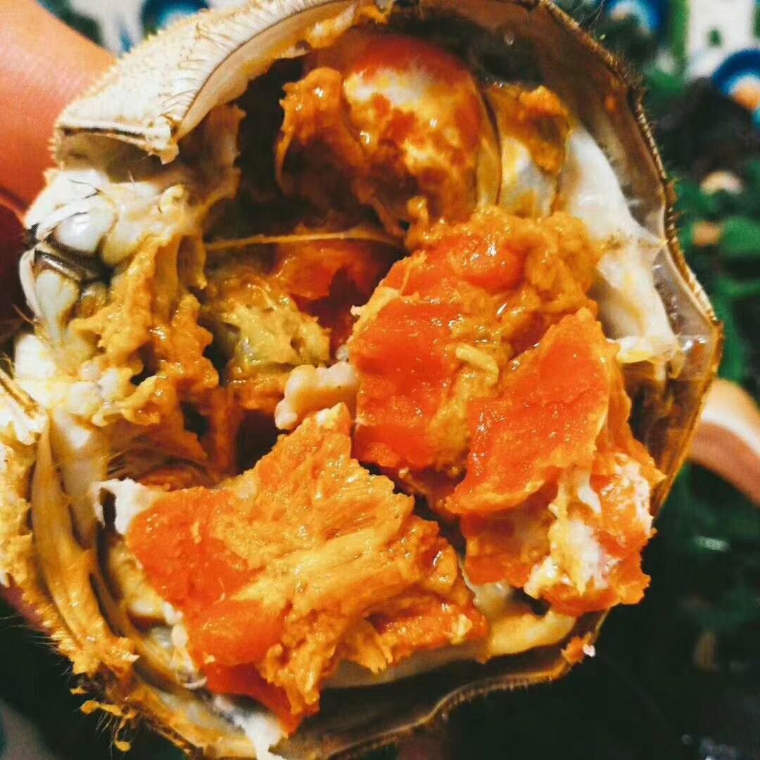  大闸蟹  膏满黄多  精品货  鲜活