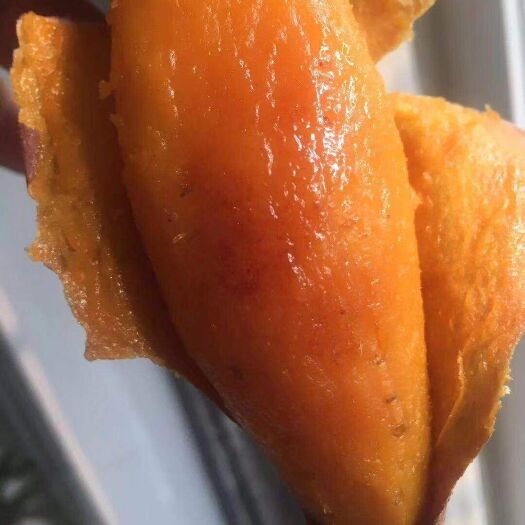 滦南县 精品红皮红心烟薯25大量供货
