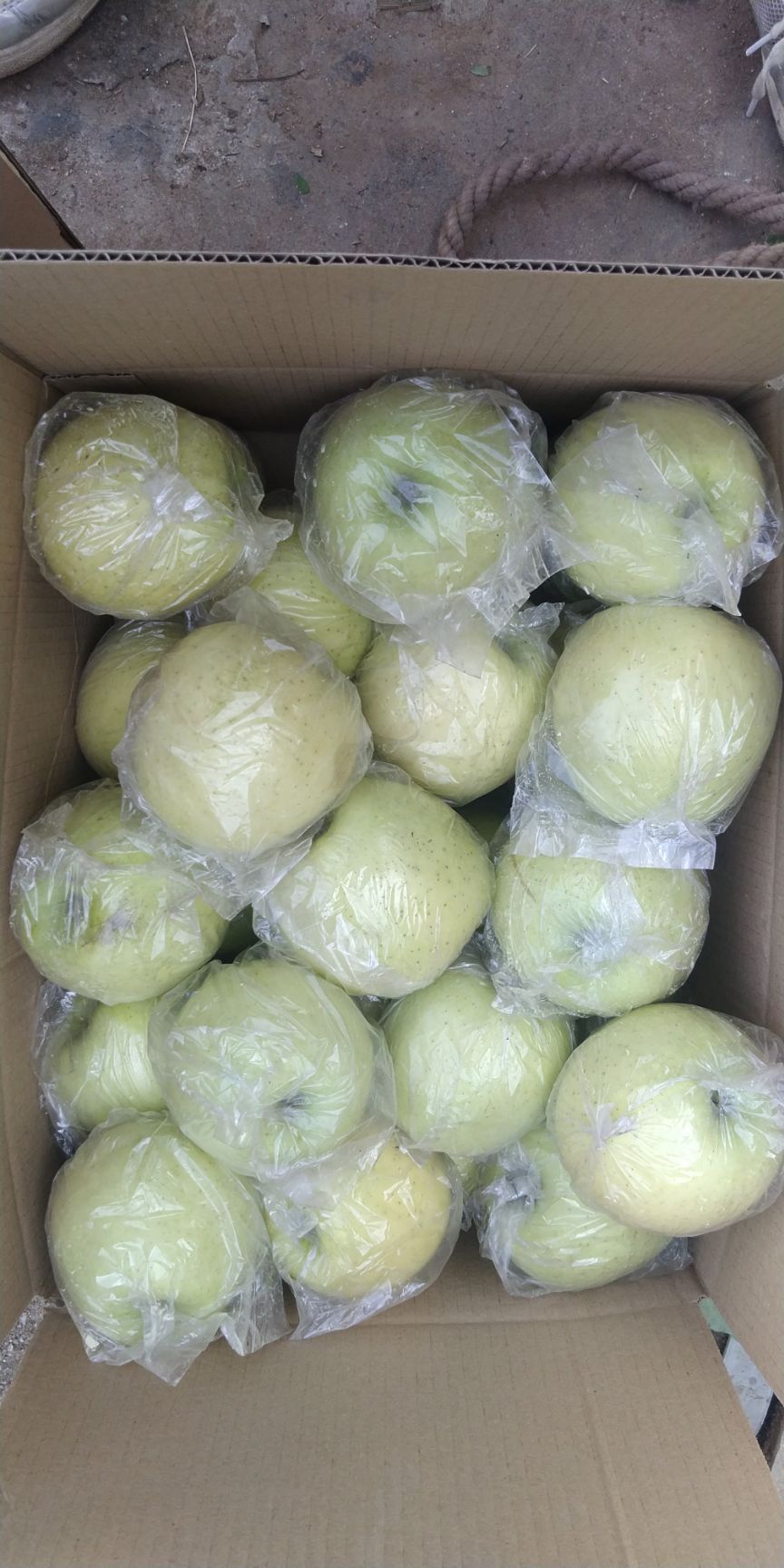 黄金帅 黄元帅开始上色了，口感特甜，纯山坡的，保证老板们满意