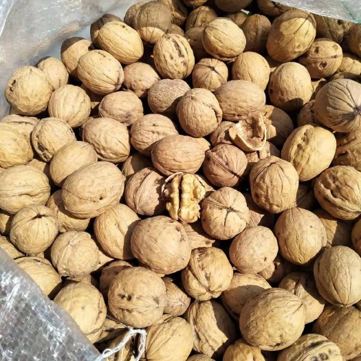  香玲核桃，纸皮核桃，最后4万斤下单为准！国庆不出单！