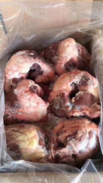 阳信县 牛心