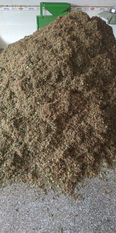 河南野金銀花