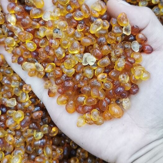 昆明 0.5到1.0机磨桃胶