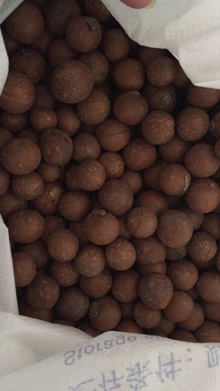 夏威夷果 夏威夷干果
