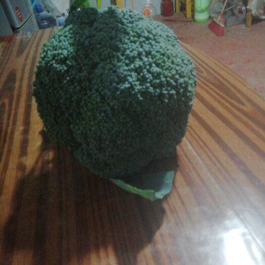 蔚县 精品西兰花
