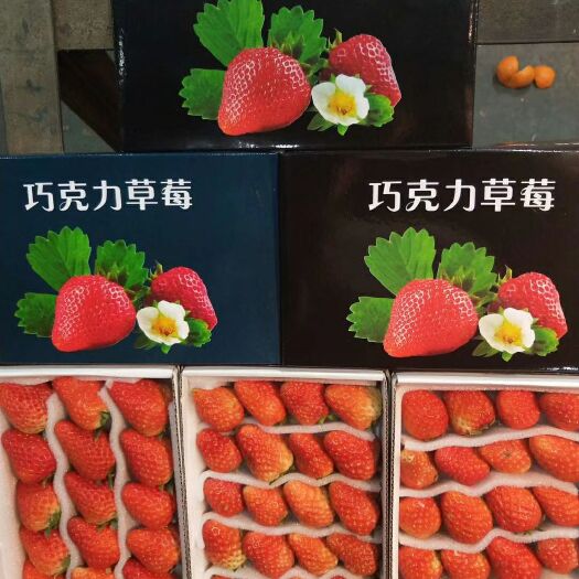 东港市红颜草莓 20克以上