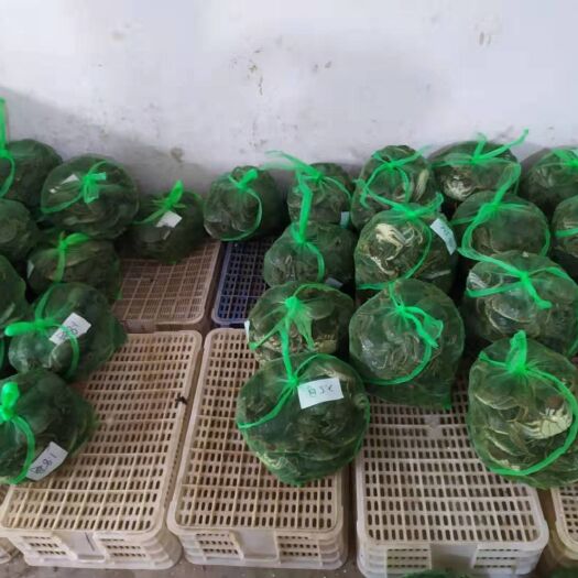 洪湖市洪湖大闸蟹  蟹 大闸蟹 毛 大闸蟹   稻田蟹  河蟹 原产地