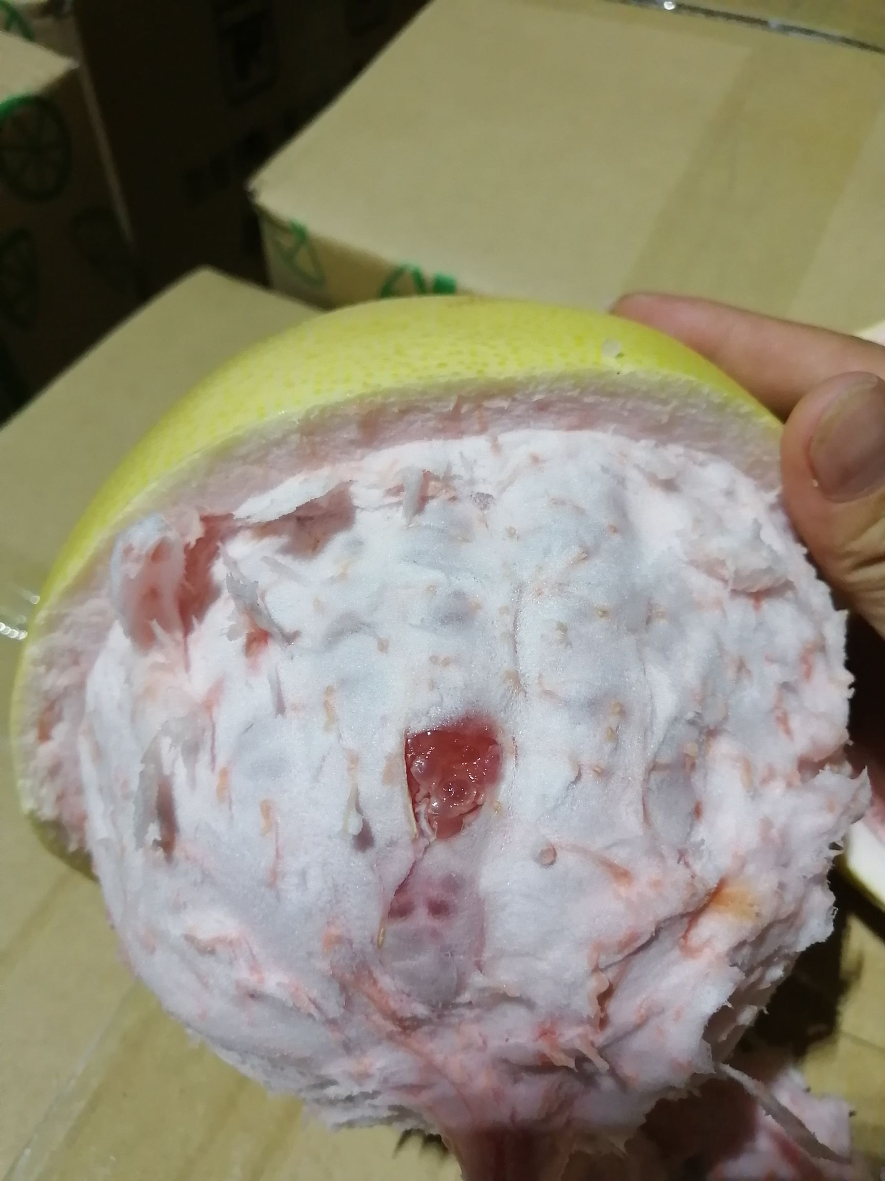  福建蜜柚批发代发