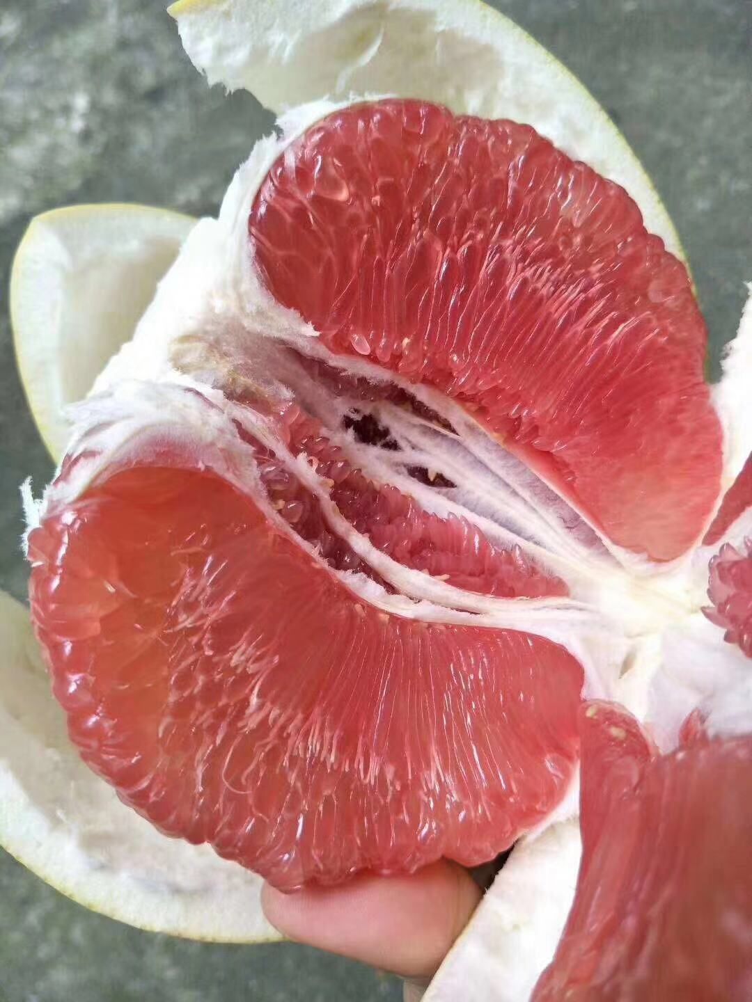  福建蜜柚批发代发