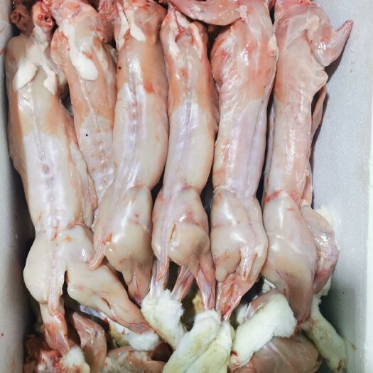 成都兔肉类  批发兔产品