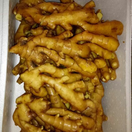 精品【大面姜】诚信经营，质量保障