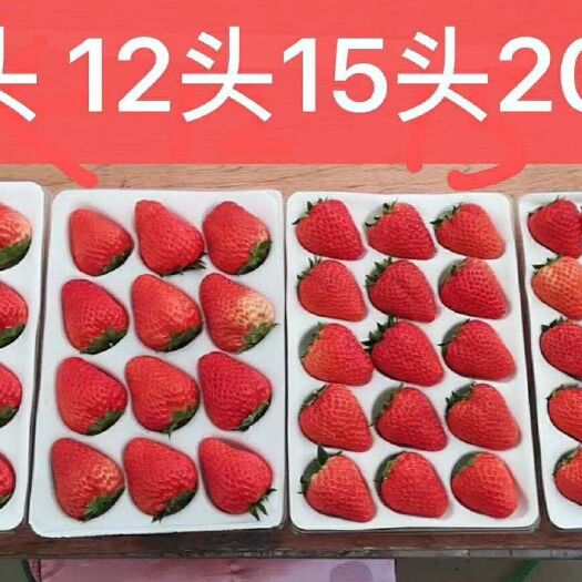 东港市 红颜草莓