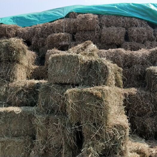 襄樊秸秆饲料  大量出售花生秧稻草小麦秸秆