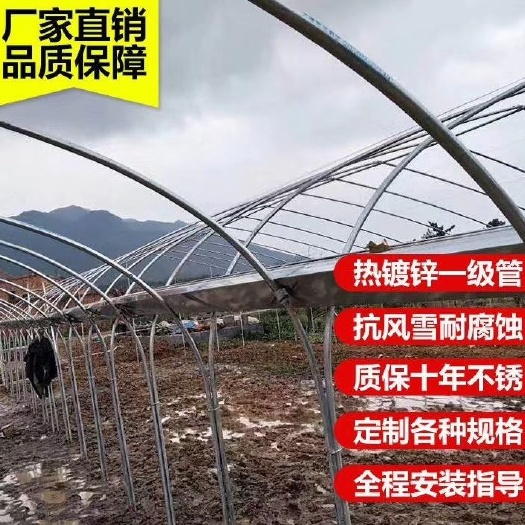 天津 养殖大棚大棚管养羊棚养鸡棚养鸭棚养鹅棚
菌菇棚蔬菜大棚鹌鹑