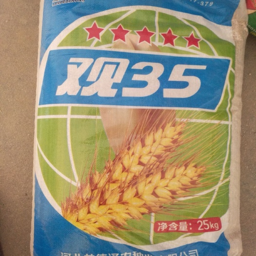 行唐县 优质小麦种子 观35