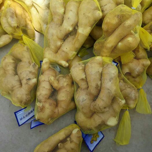 沂南县【老姜~鲜姜】产地常年大量供应