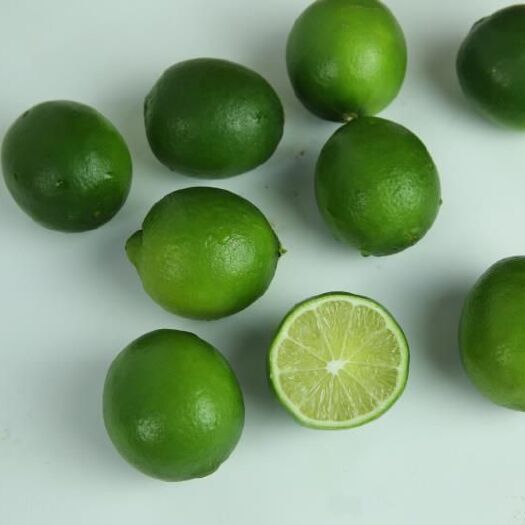 南靖县无籽柠檬  无籽青柠檬（皮薄多汁）1.5两以上