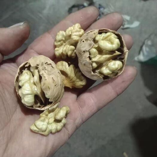 汾阳市 礼品核桃