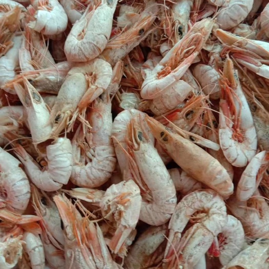 湛江即食虾干1 即食虾干 金钩虾干
