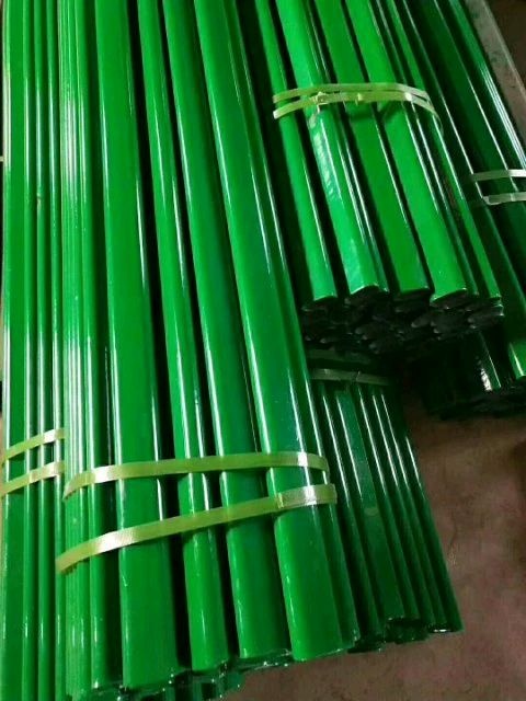 怀远县 专业搭建钢管温室养殖大棚