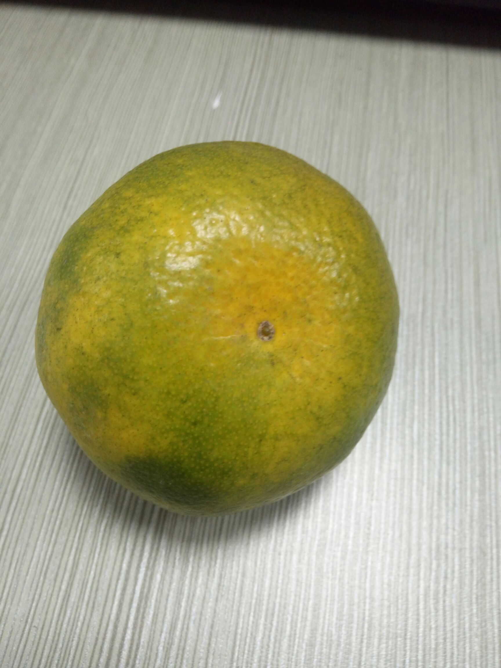 武当蜜橘 5 - 5.5cm 3两以上