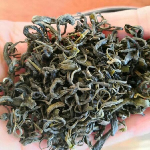 三江县三江绿茶 自制手工春茶。