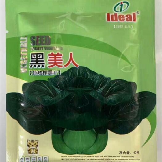 沭阳县黑美人特矮棵黑叶小白菜种子叶片深绿耐热耐寒抗病毒口感软糯微